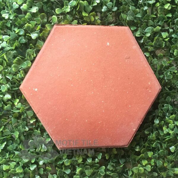 Gạch đất nung terracotta lục giác